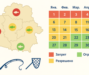 Наглядный календарь запретов на лов рыбы в Беларуси